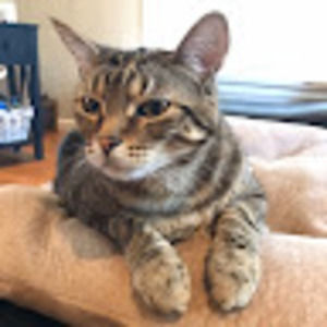 Meet your Posher, Emma